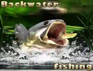 Backwater Fishing เกมออนไลน์