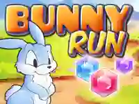 Bunny Run เกมออนไลน์