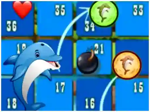 Dolphin Dice Race เกมออนไลน์