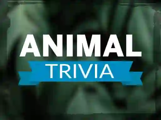 Animal Trivia เกมออนไลน์