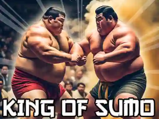 King Of Sumo the ultimate brawl เกมออนไลน์