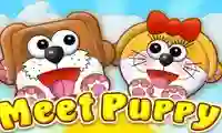 Meet Puppy เกมออนไลน์