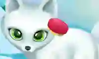 Paws to Beauty Arctic Edition เกมออนไลน์
