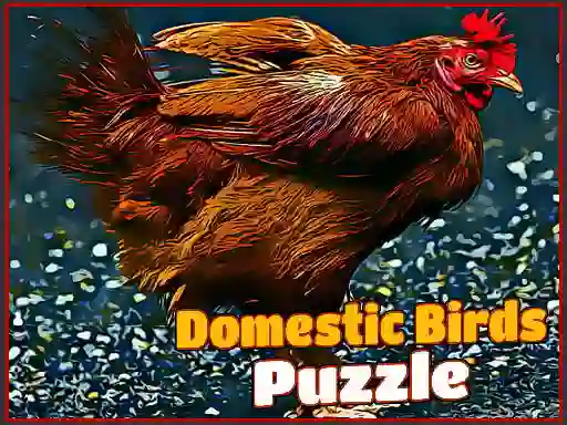Domestic Birds Puzzle เกมออนไลน์