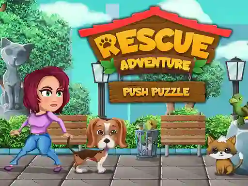 Rescue Adventure Push Puzzle เกมออนไลน์