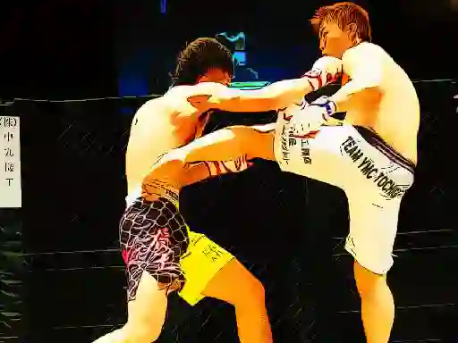 UFC Fighting Match Jigsaw เกมออนไลน์