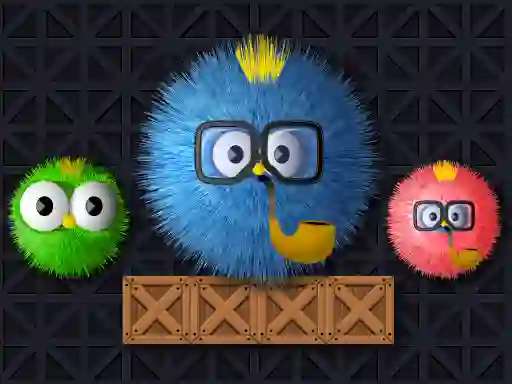 Where Is My Ruffled Bird เกมออนไลน์