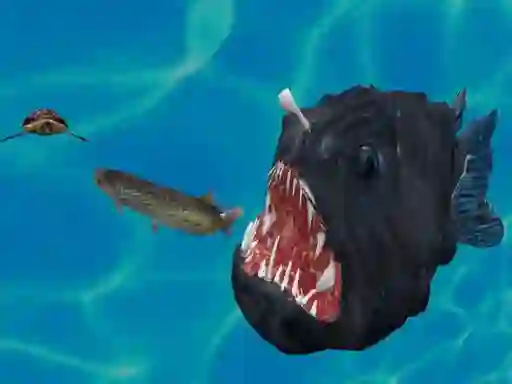 Fish 3d เกมออนไลน์