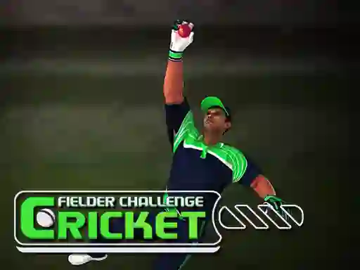Cricket Fielder Challenge เกมออนไลน์