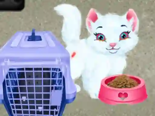Baby Taylor Pet Care เกมออนไลน์