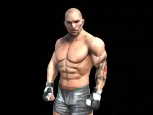 Fight Arena Online เกมออนไลน์