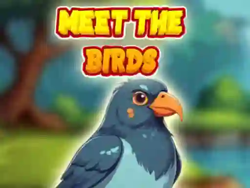 Meet The Birds เกมออนไลน์