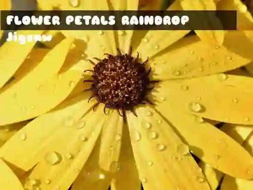 Flower Petals Raindrop Jigsaw เกมออนไลน์
