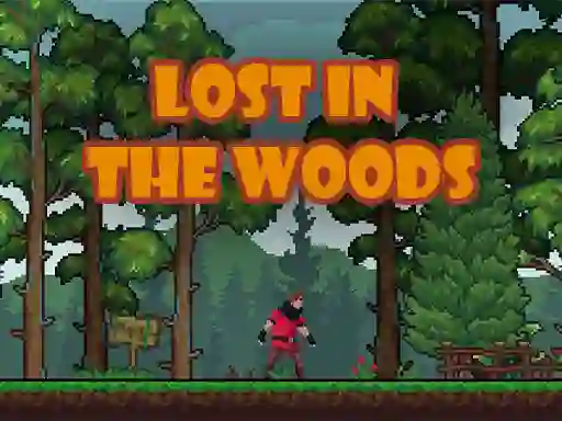 Lost in the Woods เกมออนไลน์