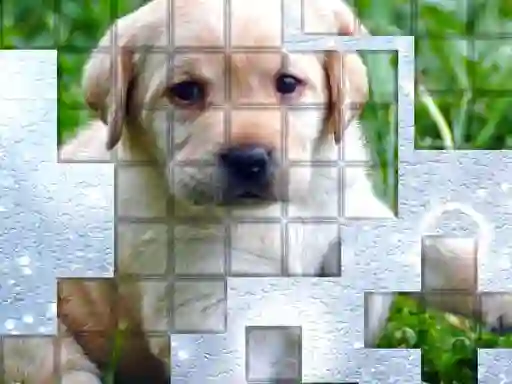 PicPu Dog เกมออนไลน์