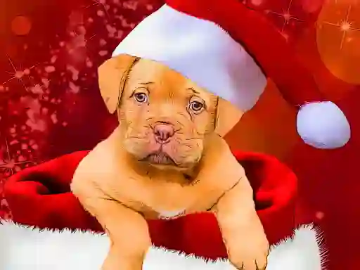 Christmas Dogs Styles เกมออนไลน์