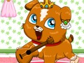 รูเล็ตสัตว์เลี้ยง  เกมออนไลน์