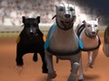 การแข่งขันเกรย์ฮาวด์ เกมออนไลน์
