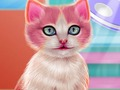 การดูแลทันตกรรมของแมว เกมออนไลน์