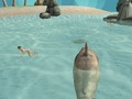 Shark Simulator Beach Killer เกมออนไลน์