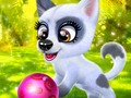 แฮปปี้ ด็อก  เกมออนไลน์
