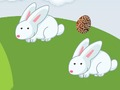 ไข่บ้า  เกมออนไลน์