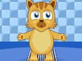 ผู้ดูแลสัตว์เลี้ยงลูกแมว  เกมออนไลน์