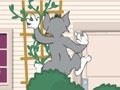 Tom und Jerry: Wasserbomben Wahnsinn เกมออนไลน์