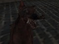 กองทัพนาซีซอมบี้  เกมออนไลน์