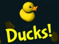 เป็ด!  เกมออนไลน์