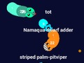 เคิร์ฟ io  เกมออนไลน์