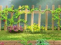ความลับของสวนจดหมายที่ซ่อนอยู่  เกมออนไลน์