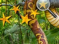 ดาวที่ซ่อนอยู่ในป่า เกมออนไลน์