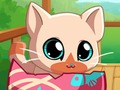 My Pocket Pets แมวคิตตี้  เกมออนไลน์