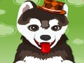 อาบน้ำให้สุนัขแสนน่ารัก  เกมออนไลน์