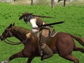 เครื่องจำลองการขี่ม้า  เกมออนไลน์