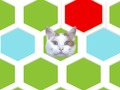 ดักแมว  เกมออนไลน์