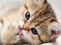 15 ควิซรูปภาพ เกมออนไลน์