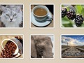 สไลด์รูปภาพ  เกมออนไลน์