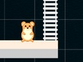 เวลาหนูแฮมสเตอร์อัจฉริยะ  เกมออนไลน์