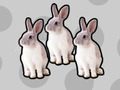 เกมถาม-ตอบที่ง่ายที่สุดในโลก เกมออนไลน์