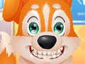 ทันตแพทย์ลูกสุนัขน่ารัก  เกมออนไลน์