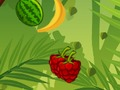 มีดเขตร้อน  เกมออนไลน์