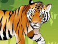 ระบายสีเสือโกรธ เกมออนไลน์