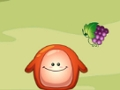 Chaki อาหารตก เกมออนไลน์