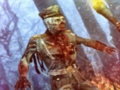 ฮีโร่ล่าซอมบี้ เกมออนไลน์