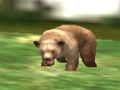 นักล่าสัตว์ซาฟารี  เกมออนไลน์