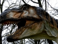 จิ๊กซอว์ไดโนเสาร์ T-Rex  เกมออนไลน์