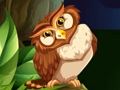 นักกีฬานกฮูก  เกมออนไลน์