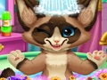 อาบน้ำลูกแมว  เกมออนไลน์